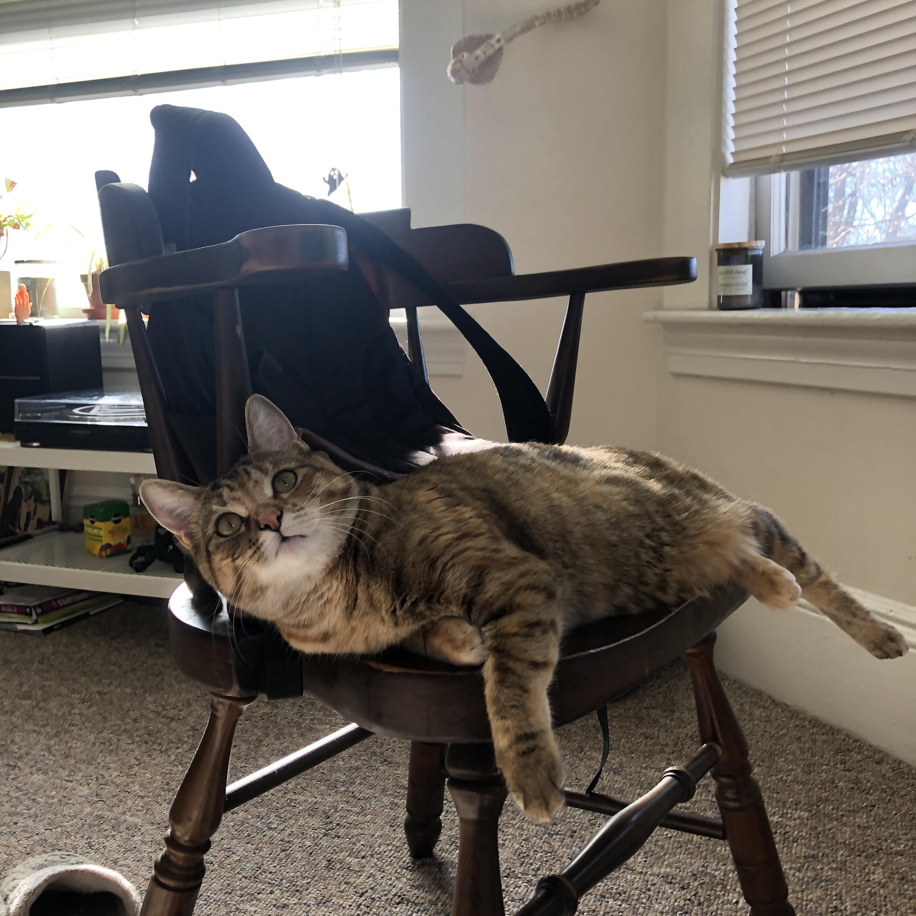 F1街道赛之夜,迪巴拉一脚让激情与失望同时撞线