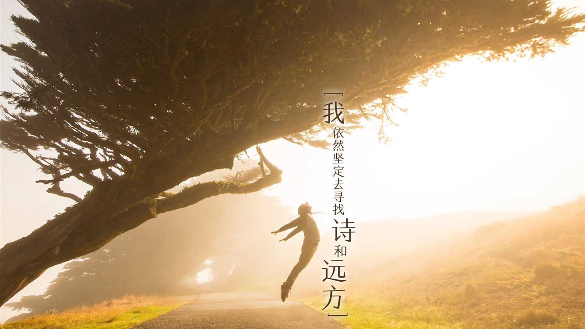 夜战惊雷!伊布三连击炸裂焦点之夜,天神下凡改写赛季走向